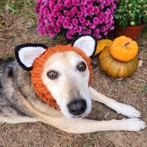 Knit Fox Pet Hood
